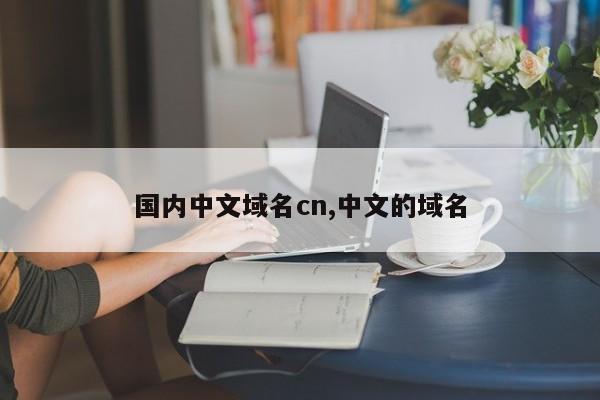 国内中文域名cn,中文的域名