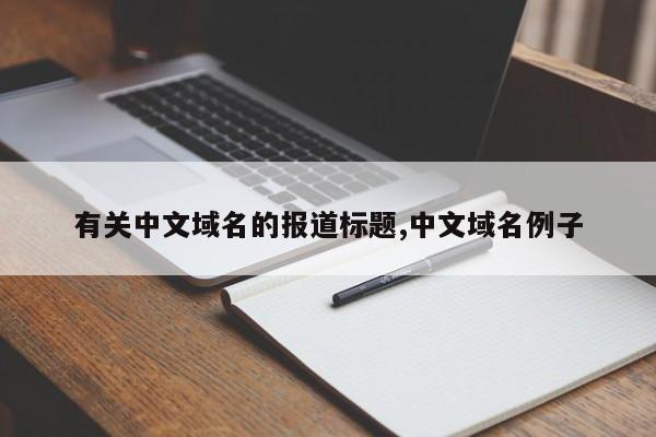 有关中文域名的报道标题,中文域名例子