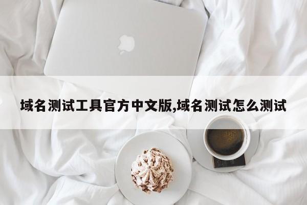 域名测试工具官方中文版,域名测试怎么测试