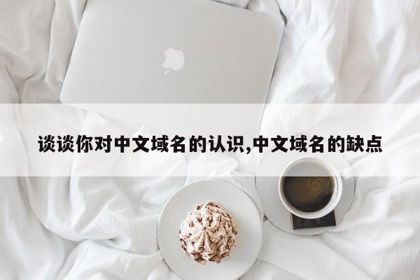 谈谈你对中文域名的认识,中文域名的缺点