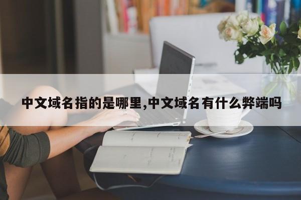 中文域名指的是哪里,中文域名有什么弊端吗