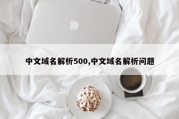中文域名解析500,中文域名解析问题