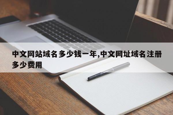 中文网站域名多少钱一年,中文网址域名注册多少费用