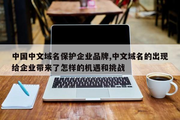 中国中文域名保护企业品牌,中文域名的出现给企业带来了怎样的机遇和挑战