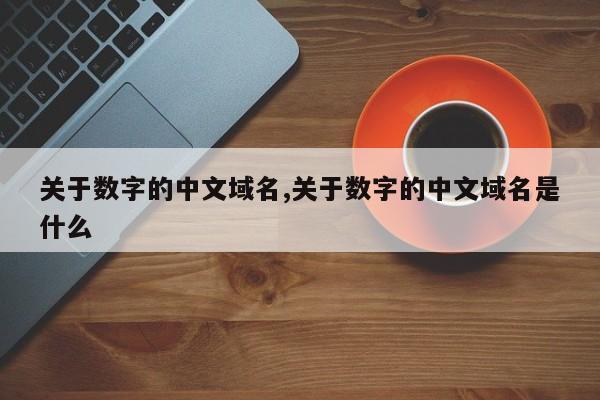 关于数字的中文域名,关于数字的中文域名是什么