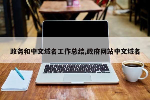 政务和中文域名工作总结,政府网站中文域名