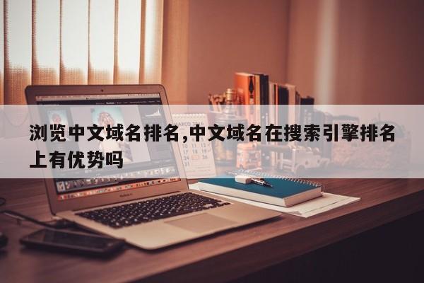 浏览中文域名排名,中文域名在搜索引擎排名上有优势吗