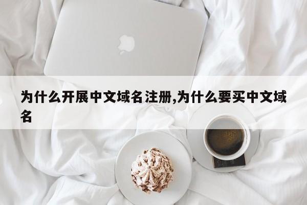 为什么开展中文域名注册,为什么要买中文域名