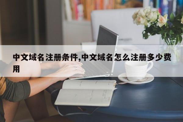 中文域名注册条件,中文域名怎么注册多少费用
