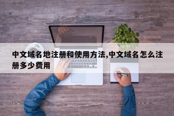中文域名地注册和使用方法,中文域名怎么注册多少费用