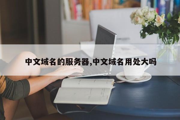 中文域名的服务器,中文域名用处大吗