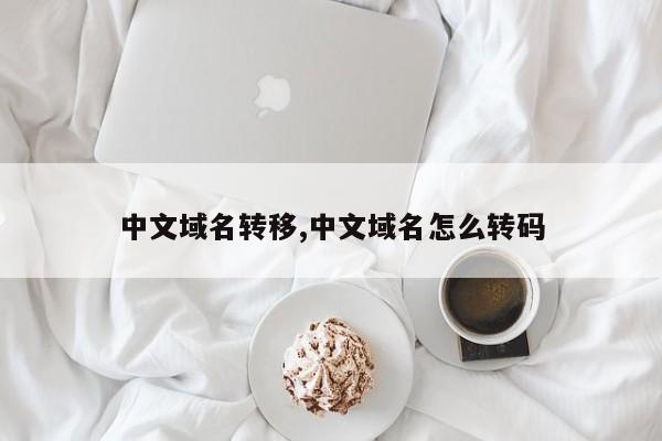 中文域名转移,中文域名怎么转码