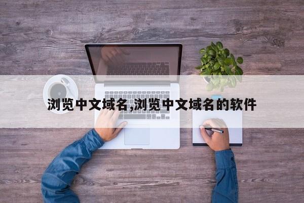 浏览中文域名,浏览中文域名的软件