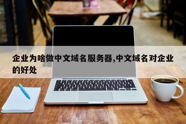 企业为啥做中文域名服务器,中文域名对企业的好处